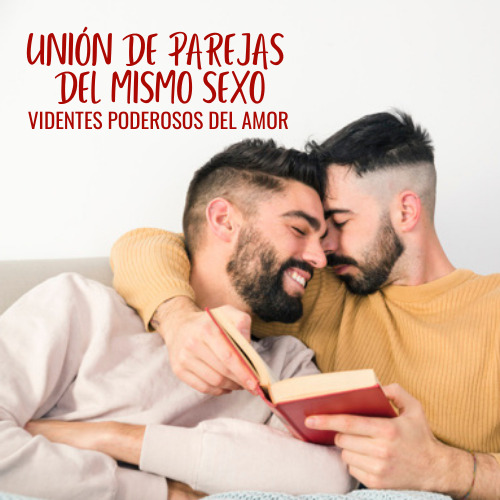 UNIÓN DE PAREJAS DEL MISMO SEXO
